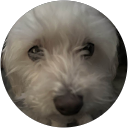 vanilla powder profile picture